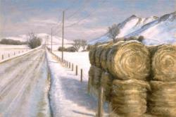 Down Piney Creek Road