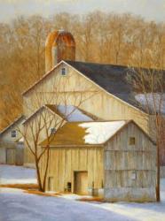 Winter Morning Barns